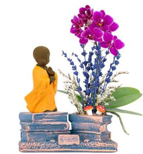 Library Serisi Mini Mor Orkide Tasarım - Buda