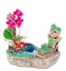 Groot Tatilde Serisi Mini Orkideli Teraryum