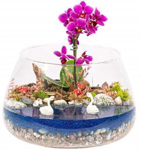 Kuğulu Göl Teraryum Orkide Tasarım
