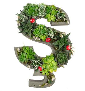 Kişiye Özel Harf Saksıda Sukulent Tasarım