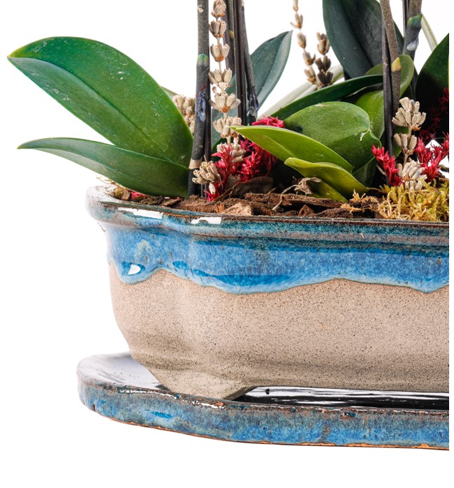 Art of Ceramic Series - Mini Mavi Mor Orkideler