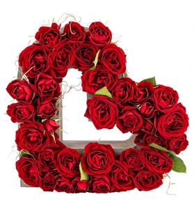 Kalp Saksıda İthal Kırmızı Mini Gül Tasarım