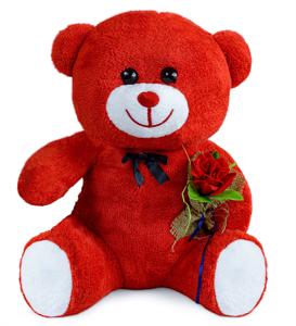 Elinde Gül Tutan Sevimli Ayıcık