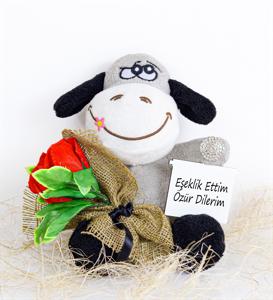 Elinde Gül Tutan Özür Dilerim Sevimli Eşek