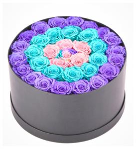 Dev Kutuda Sweet Rainbow Solmayan Güller