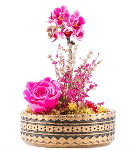 Ring Serisi Mini Orkide ve Fuşya Pembe Solmayan Gül Tasarım