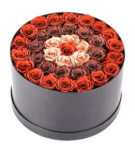 Dev Kutuda Chocolate Solmayan Güller