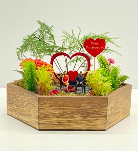 Sevgi Kelebeğim Teraryum